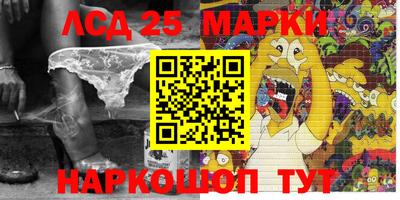 мяу мяу мука Будённовск